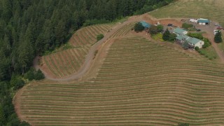 5.7K aerial stock footage of circling hillside grapevines at the Phelps Creek Vineyards in Hood River, Oregon Aerial Stock Footage | DX0001_016_017