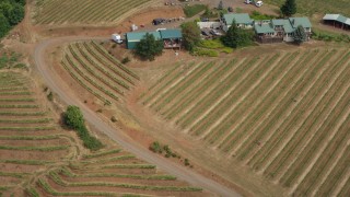 5.7K aerial stock footage a view of rows of grapevines at the Phelps Creek Vineyard in Hood River, Oregon Aerial Stock Footage | DX0001_016_018