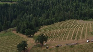 5.7K aerial stock footage of circling grapevines at Phelps Creek Vineyards in Hood River, Oregon Aerial Stock Footage | DX0001_016_020