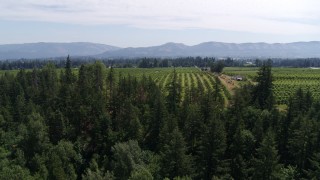 5.7K aerial stock footage fly over fields trees to reveal orchards, Hood River, Oregon Aerial Stock Footage | DX0001_017_016