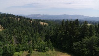 5.7K aerial stock footage of flying over evergreen trees in Hood River, Oregon Aerial Stock Footage | DX0001_017_020