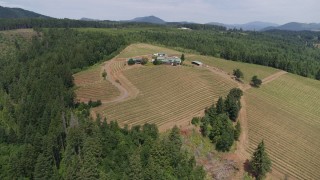 5.7K aerial stock footage of flying over grapevines at Phelps Creek Vineyards toward the buildings on the hilltop, Hood River, Oregon Aerial Stock Footage | DX0001_017_027