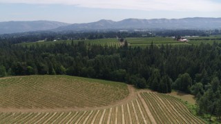 5.7K aerial stock footage of approaching orchards from Phelps Creek Vineyards in Hood River, Oregon Aerial Stock Footage | DX0001_017_032