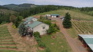 5.7K aerial stock footage of hilltop buildings and grapevines at Phelps Creek Vineyards, reveal hills and orchards in Hood River, Oregon Aerial Stock Footage | DX0001_017_034