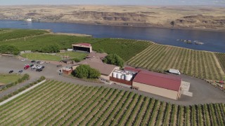 DX0001_018_010 - 5.7K aerial stock footage circling the Maryhill Winery and vineyards beside the Columbia River in Goldendale, Washington