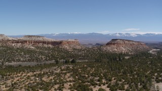 5.7K aerial stock footage of flat desert mesas and distant mountains seen while flying by desert plants in New Mexico Aerial Stock Footage | DX0002_133_020