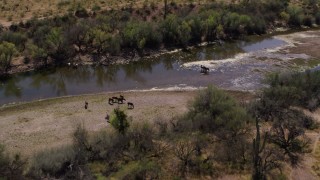 DX0002_141_004 - 5.7K aerial stock footage fly away from and orbit a group of horses beside a shallow desert river