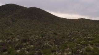 5.7K aerial stock footage fly low to approach a small peak with cactus plants in Tucson, Arizona Aerial Stock Footage | DX0002_145_001