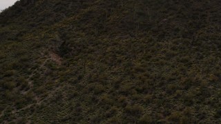 5.7K aerial stock footage approach a small peak with cactus plants in Tucson, Arizona Aerial Stock Footage | DX0002_145_005