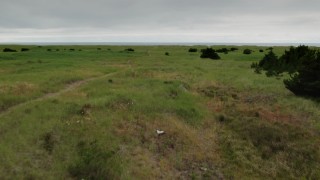 DX0002_148_003 - 4K aerial stock footage of flying low over tall grass in Long Beach, Washington