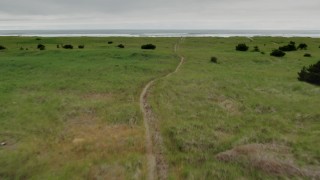 4K aerial stock footage of flying low over a path through tall grass in Long Beach, Washington Aerial Stock Footage | DX0002_148_013