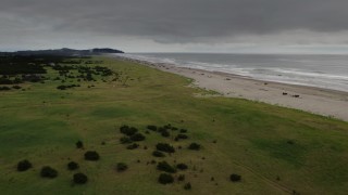 DX0002_148_017 - 4K aerial stock footage of orbiting people on the beach in Long Beach, Washington