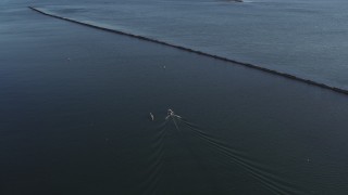 DX0002_203_023 - 5.7K aerial stock footage of tracking rowers and a speedboat in Buffalo, New York