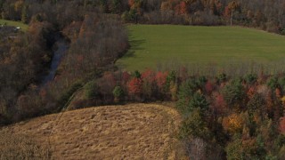 DX0002_216_043 - 5.7K aerial stock footage of orbit a corn field in Fort Ann, New York, tilt to bird's eye view of trees