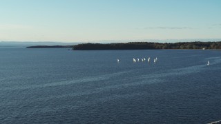 5.7K aerial stock footage of a wide orbit of a group of sailboats on Lake Champlain, Burlington, Vermont Aerial Stock Footage | DX0002_224_056