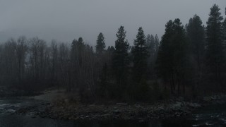 5.7K aerial stock footage stationary view of trees as snow falls, Leavenworth, Washington Aerial Stock Footage | DX0002_227_025