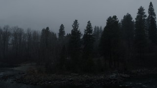 DX0002_227_026 - 5.7K aerial stock footage stationary view of trees during light snowfall, Leavenworth, Washington