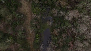 5.7K aerial stock footage descend toward a narrow river in a forest, Orlando, Florida Aerial Stock Footage | DX0003_234_042