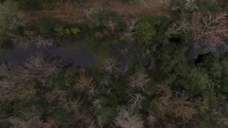 5.7K aerial stock footage orbiting above a narrow river in a forest, Orlando, Florida Aerial Stock Footage | DX0003_234_043