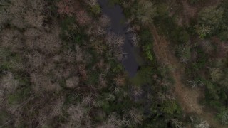 5.7K aerial stock footage flying above a narrow river in a forest, Orlando, Florida Aerial Stock Footage | DX0003_234_045