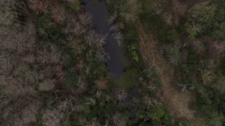 5.7K aerial stock footage descend toward a narrow forest river, Orlando, Florida Aerial Stock Footage | DX0003_234_046