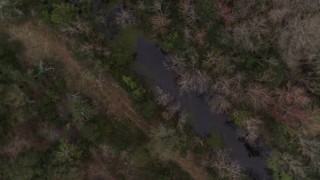 5.7K aerial stock footage of circling above a narrow forest river, Orlando, Florida Aerial Stock Footage | DX0003_234_047