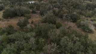 5.7K aerial stock footage of ascending over forest trees, Orlando, Florida Aerial Stock Footage | DX0003_234_054