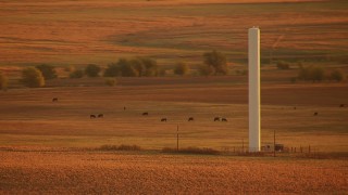 HD stock footage aerial video of a tall silo on farmland near cattle at sunrise in Oklahoma Aerial Stock Footage | HDA12_058