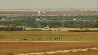 HD aerial stock footage video of cattle grazing in fields in Oklahoma Aerial Stock Footage | HDA12_079