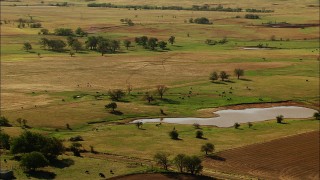 HD stock footage aerial video of cattle grazing near a watering hole in Temple, Oklahoma Aerial Stock Footage | HDA12_099