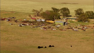 HD stock footage aerial video fly over fields to approach grazing cattle and junkyard by rural home in Oklahoma Aerial Stock Footage | HDA12_114