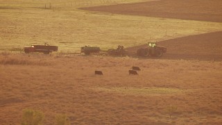 HD stock footage aerial video of cows and a tractor in a field at sunset in Oklahoma Aerial Stock Footage | HDA12_138