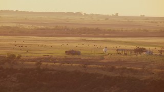 HD stock footage aerial video of cattle grazing in a field at sunset in Nocona, Texas Aerial Stock Footage | HDA12_144