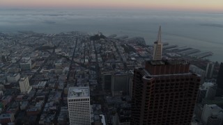 5.7K stock footage aerial video of Coit Tower and top of Transamerica Pyramid at sunrise in North Beach, San Francisco, California Aerial Stock Footage | PP0002_000059