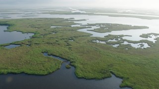 Marshlands Aerial Stock Footage